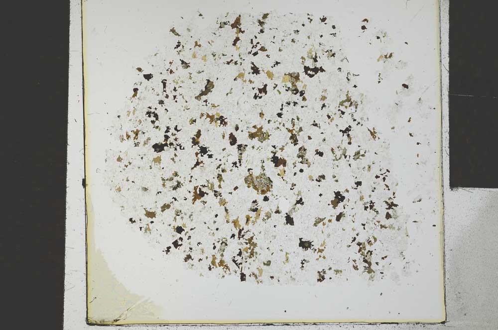 Plane Polarized, S29439
