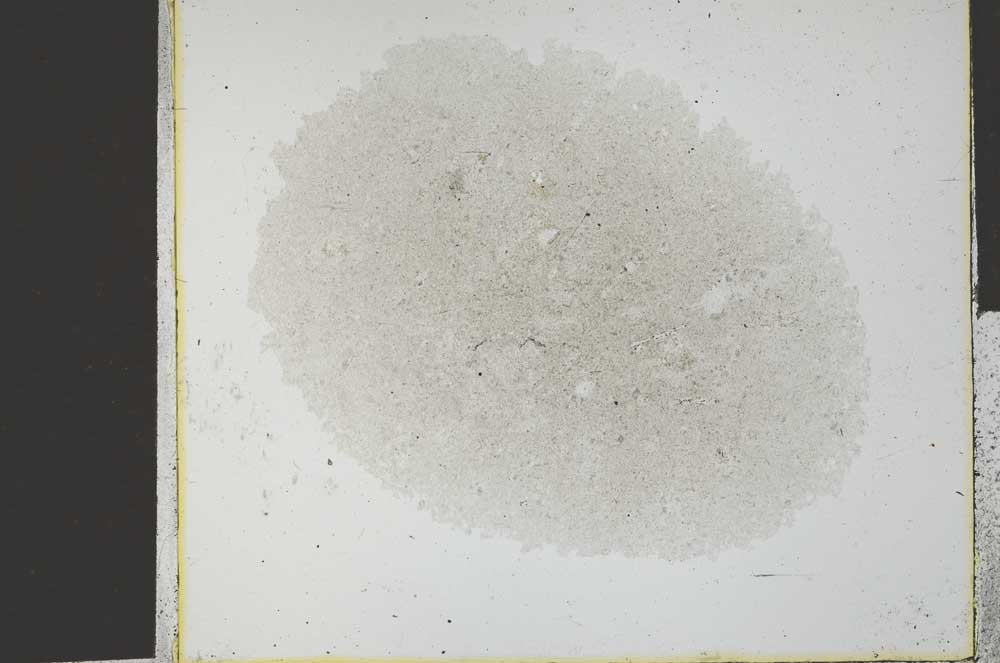 Plane Polarized, S29457