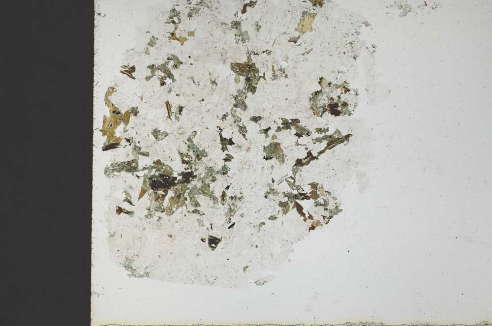 Plane Polarized, S29468