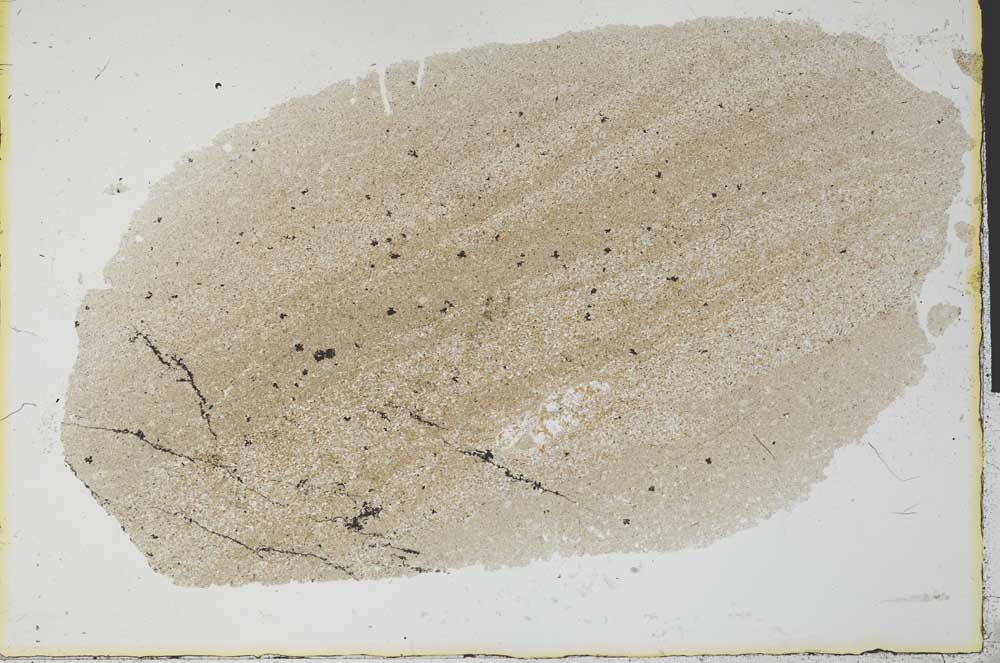 Plane Polarized, S29489
