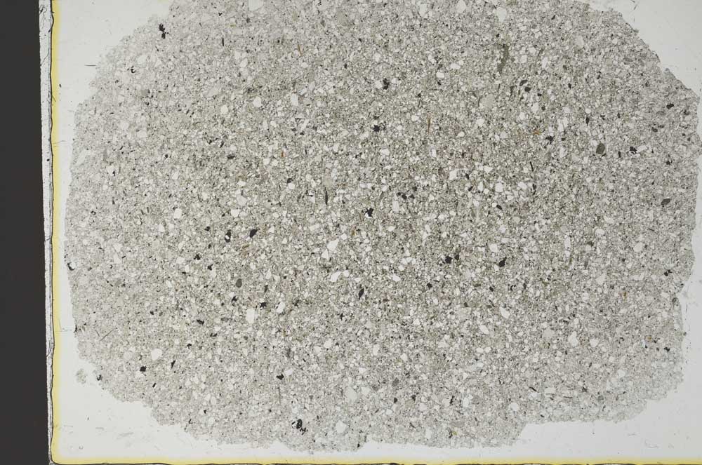 Plane Polarized, S29490