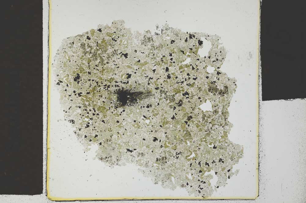 Plane Polarized, S29537