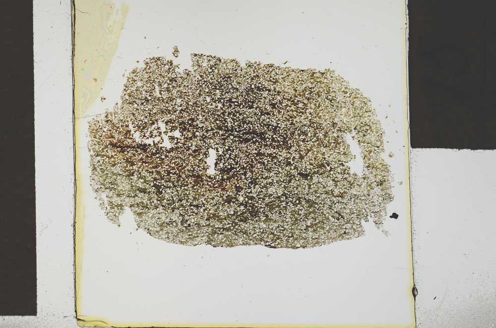 Plane Polarized, S29541/A