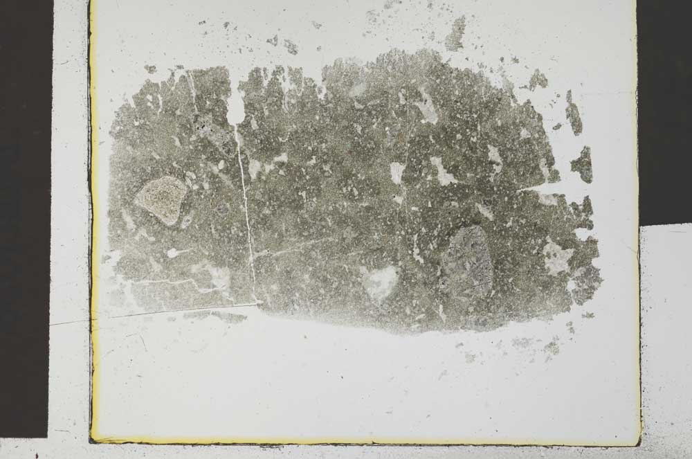 Plane Polarized, S29542