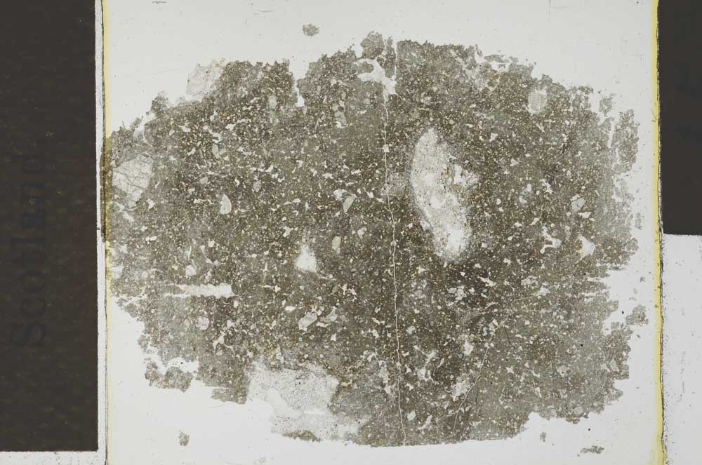 Plane Polarized, S29544