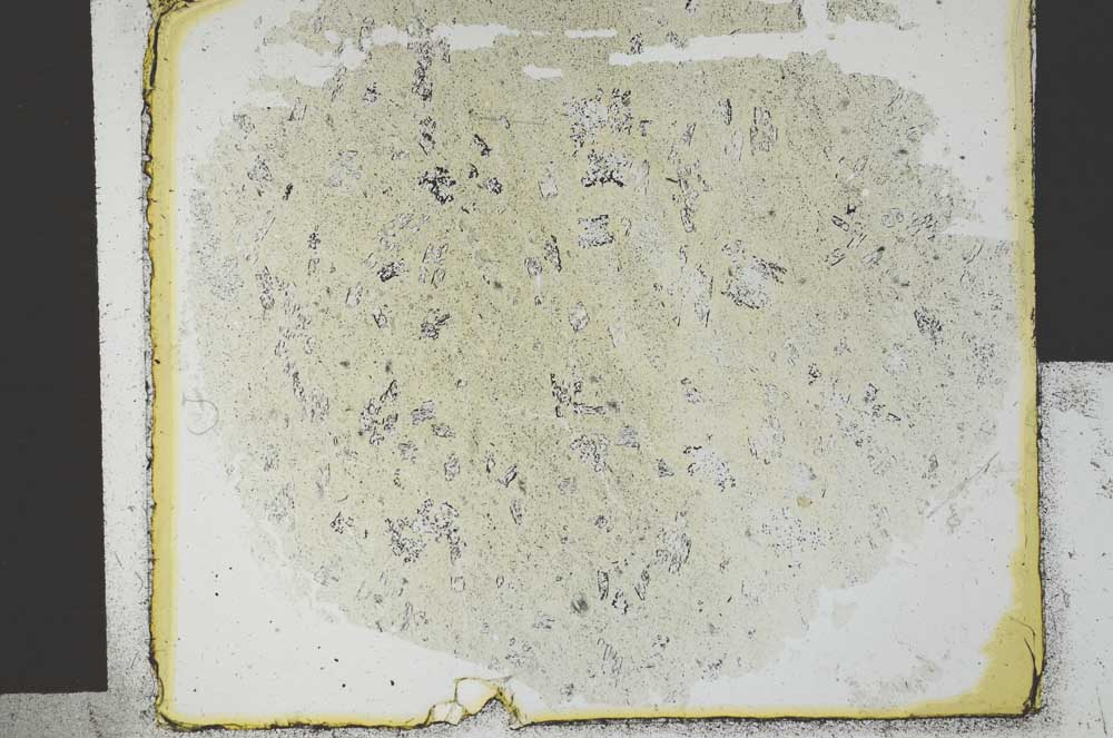 Plane Polarized, S29550