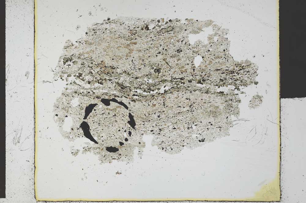 Plane Polarized, S29564