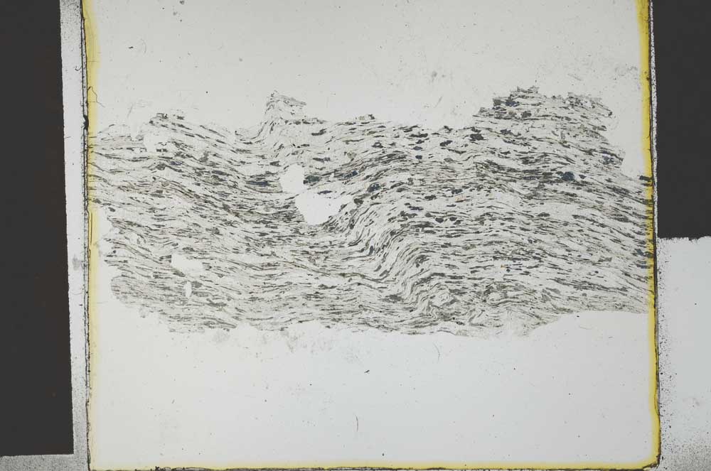 Plane Polarized, S29565