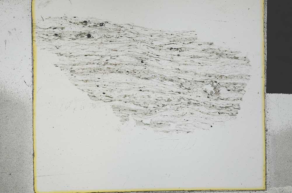 Plane Polarized, S29567