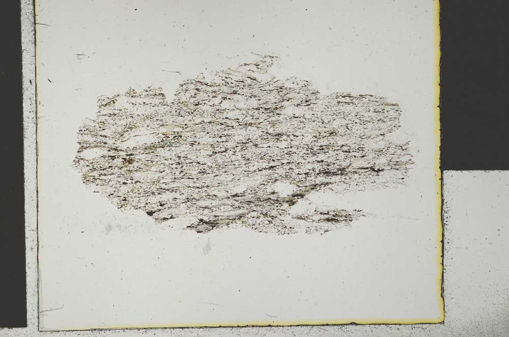 Plane Polarized, S29590