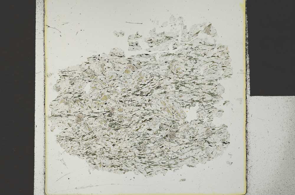 Plane Polarized, S29592