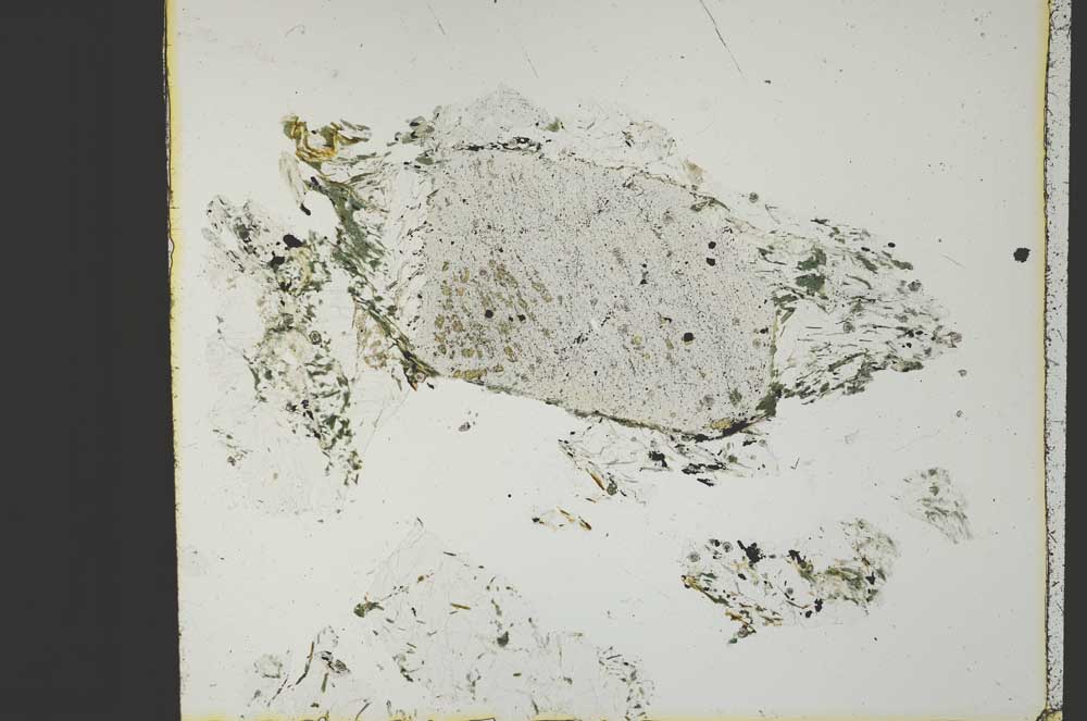 Plane Polarized, S29592/A