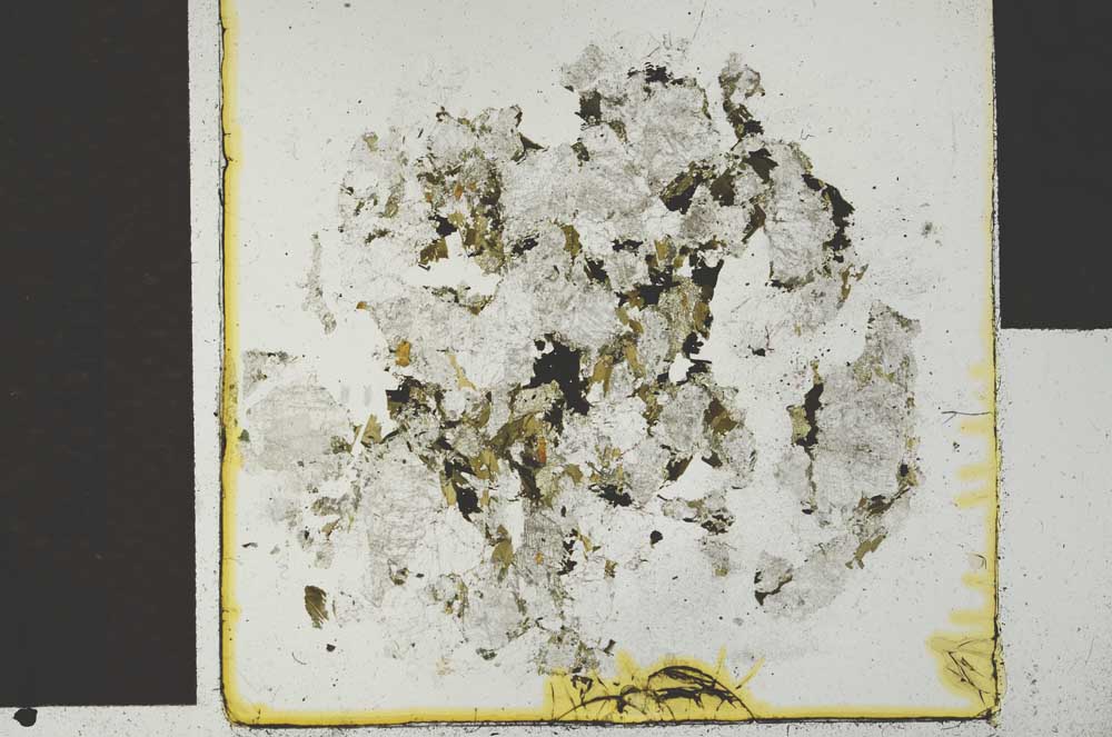 Plane Polarized, S29598