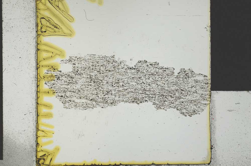 Plane Polarized, S29602