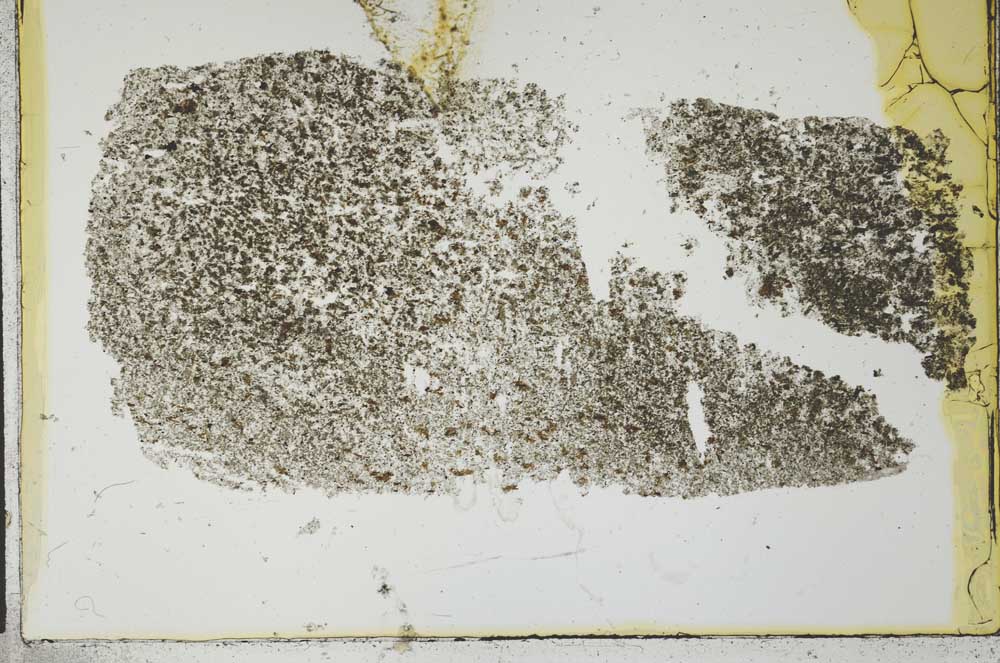 Plane Polarized, S29606