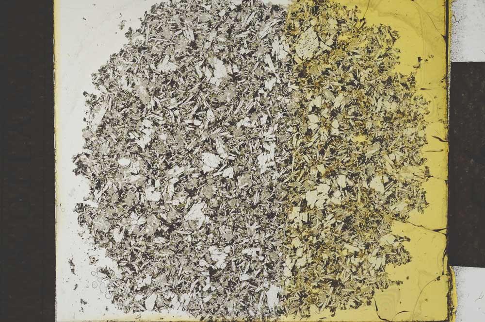 Plane Polarized, S29623