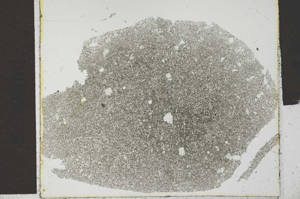 Plane Polarized, S29629