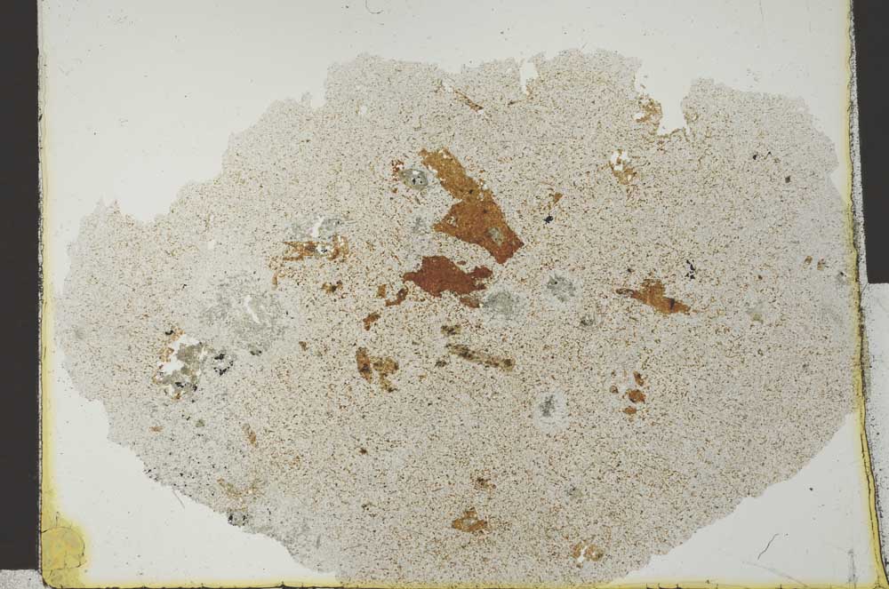 Plane Polarized, S29645