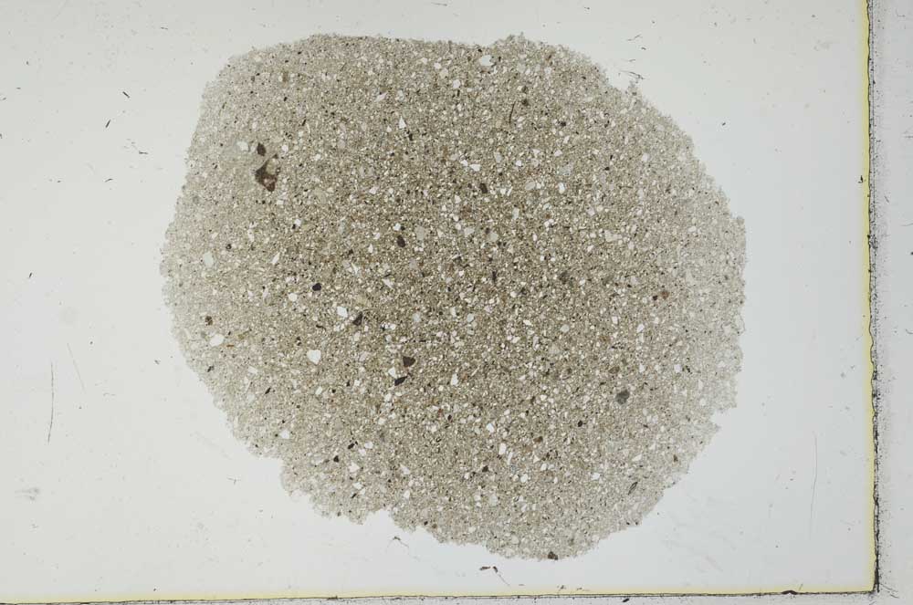 Plane Polarized, S29668