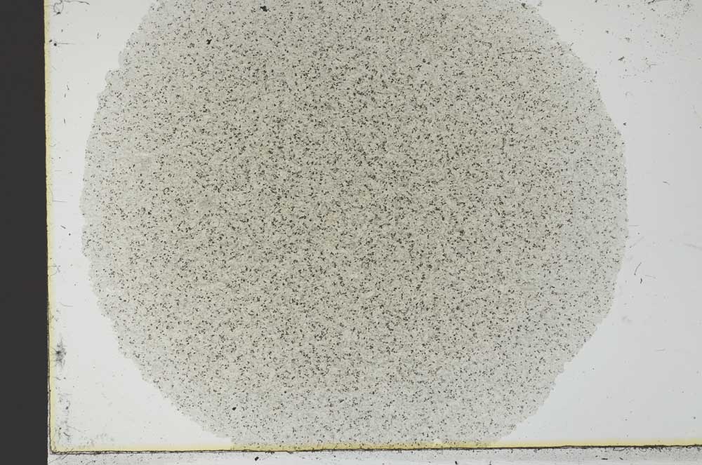 Plane Polarized, S29670