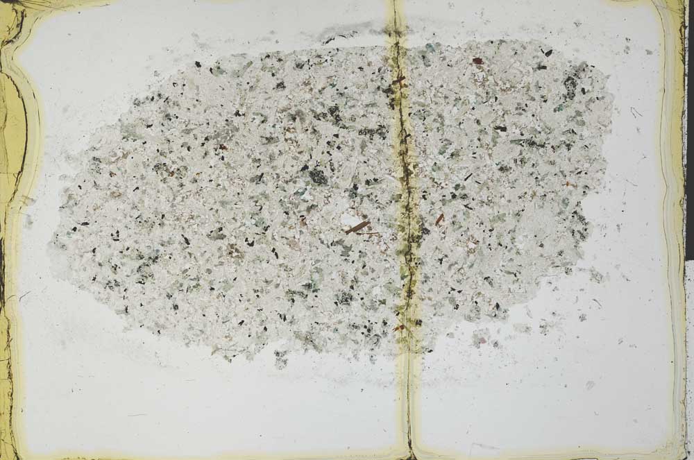 Plane Polarized, S29681
