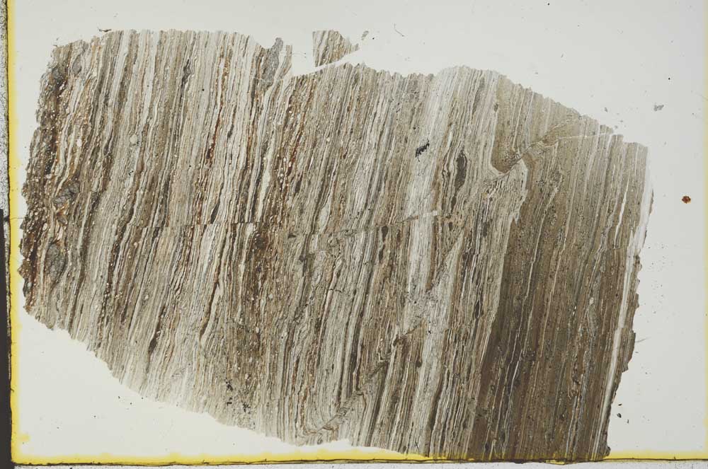 Plane Polarized, S29727