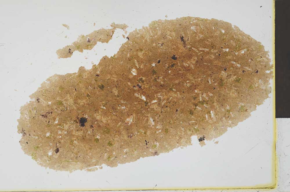 Plane Polarized, S29736