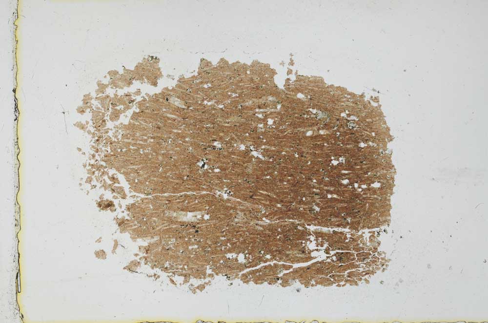 Plane Polarized, S29751