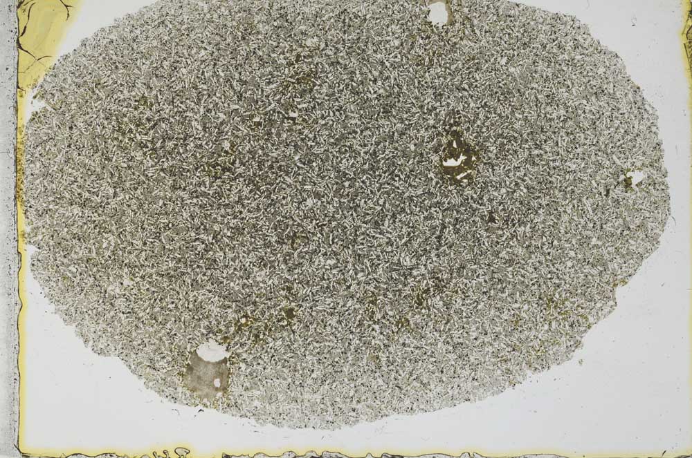 Plane Polarized, S29790