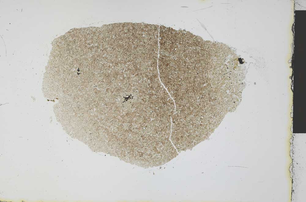 Plane Polarized, S29794