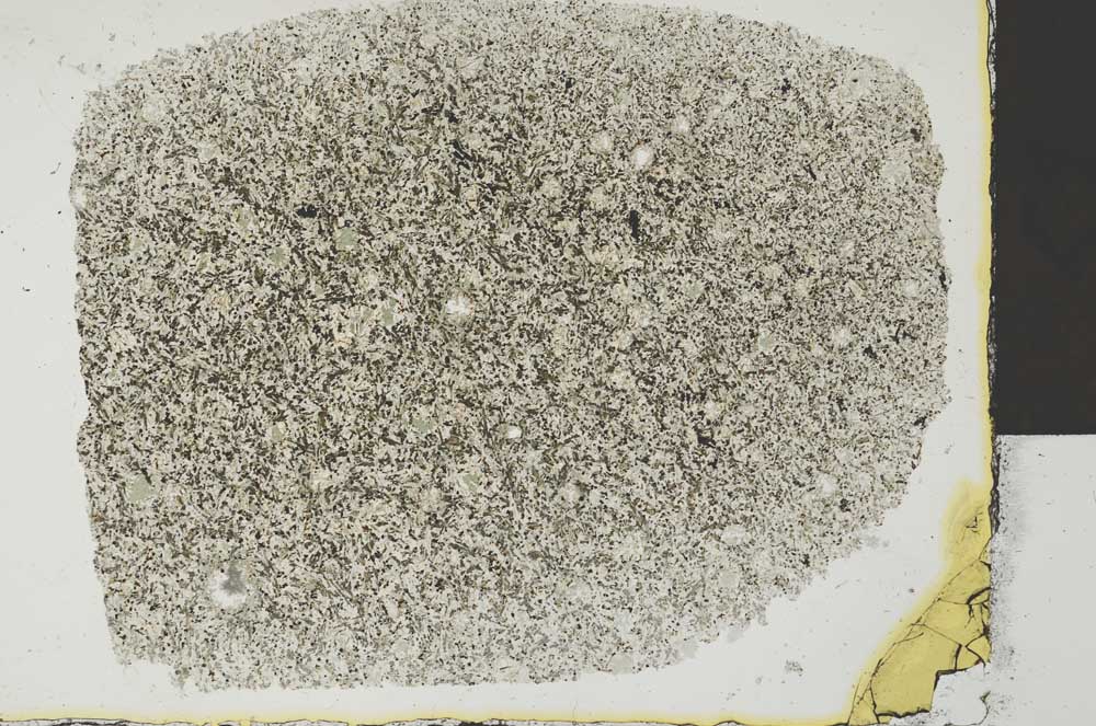 Plane Polarized, S29810