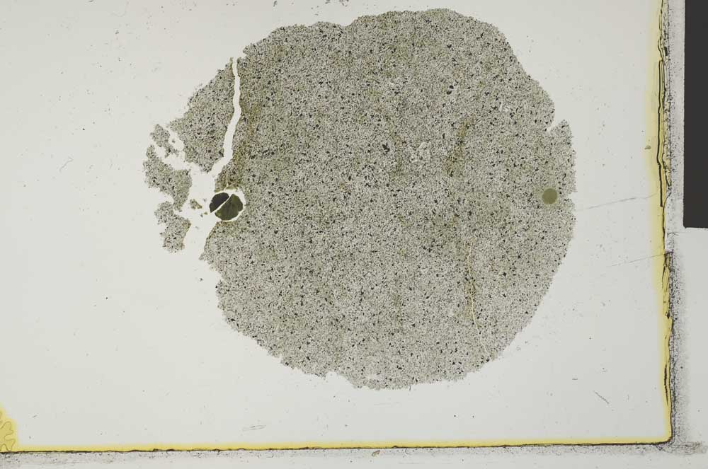 Plane Polarized, S29823