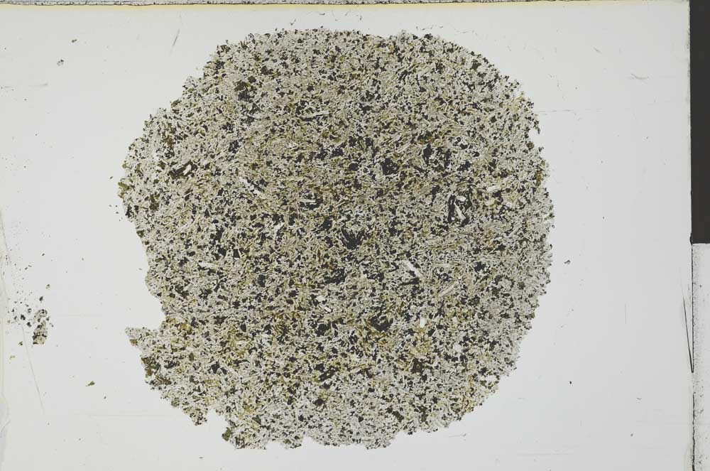 Plane Polarized, S29832
