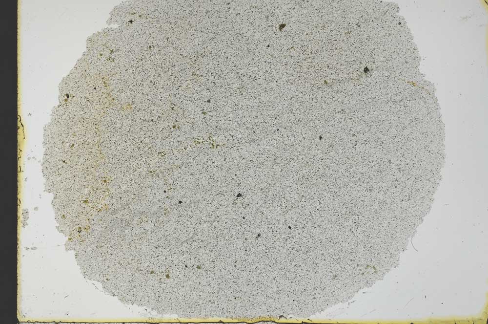 Plane Polarized, S29859