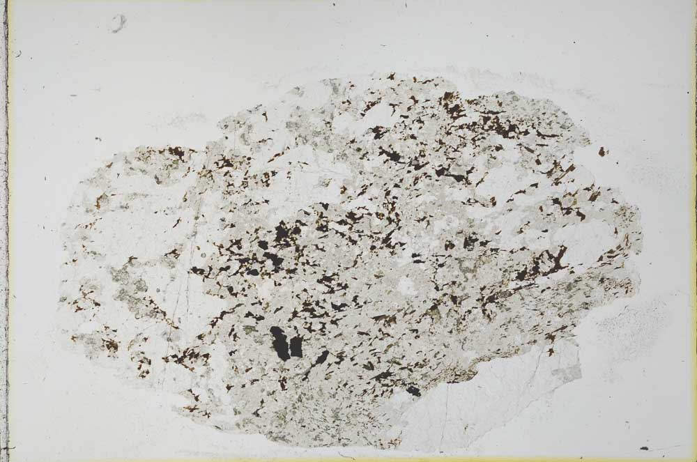 Plane Polarized, S29884