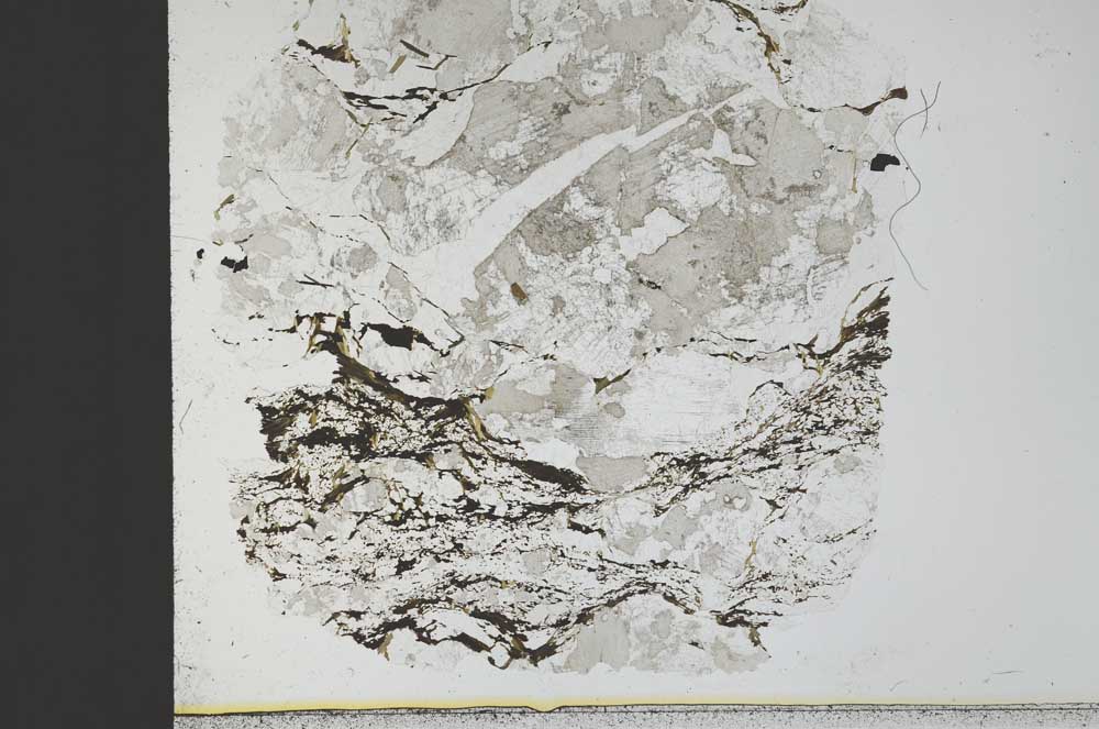 Plane Polarized, S29890
