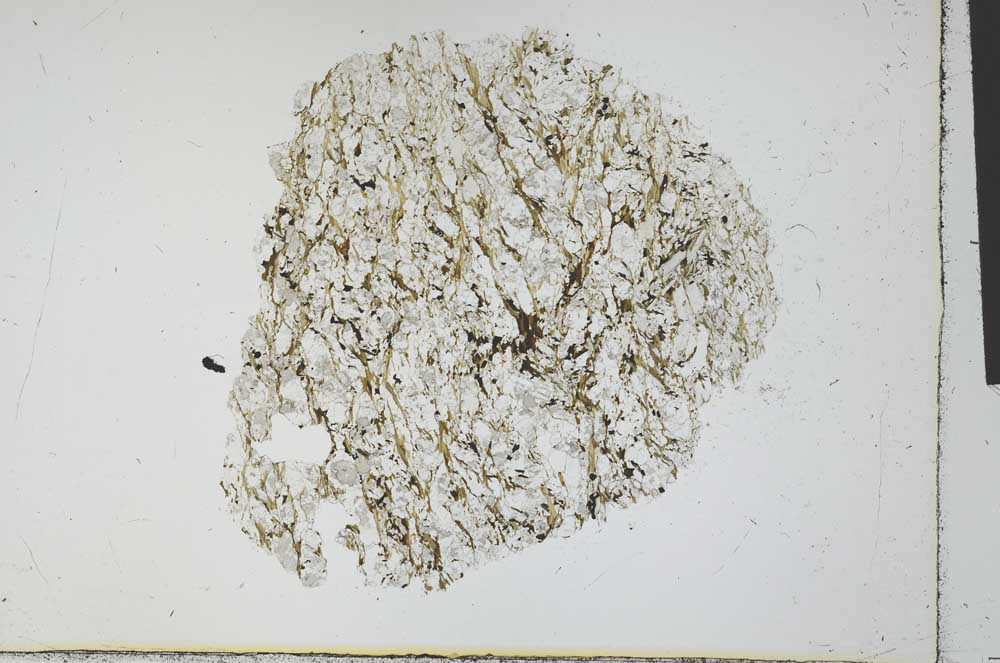 Plane Polarized, S29895