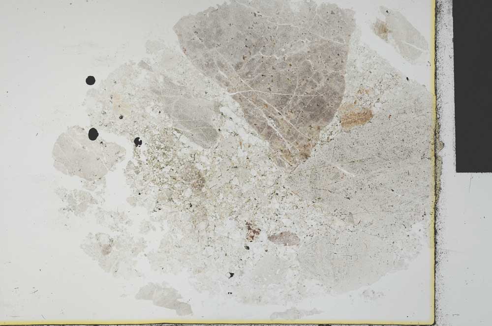 Plane Polarized, S29914