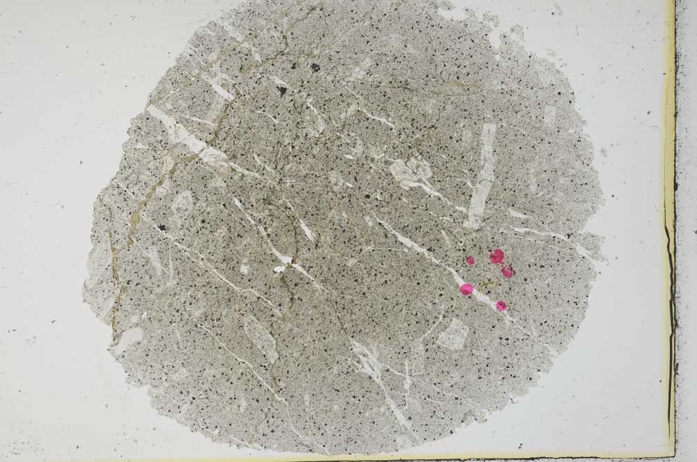 Plane Polarized, S29916