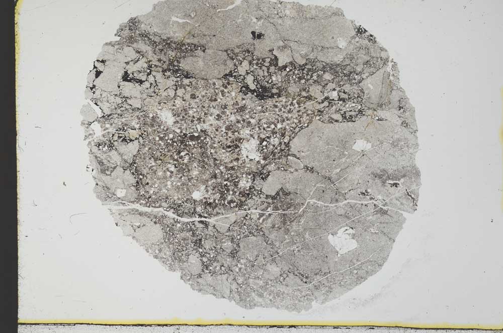 Plane Polarized, S29919