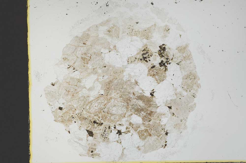 Plane Polarized, S29940