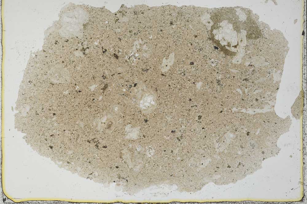 Plane Polarized, S29964