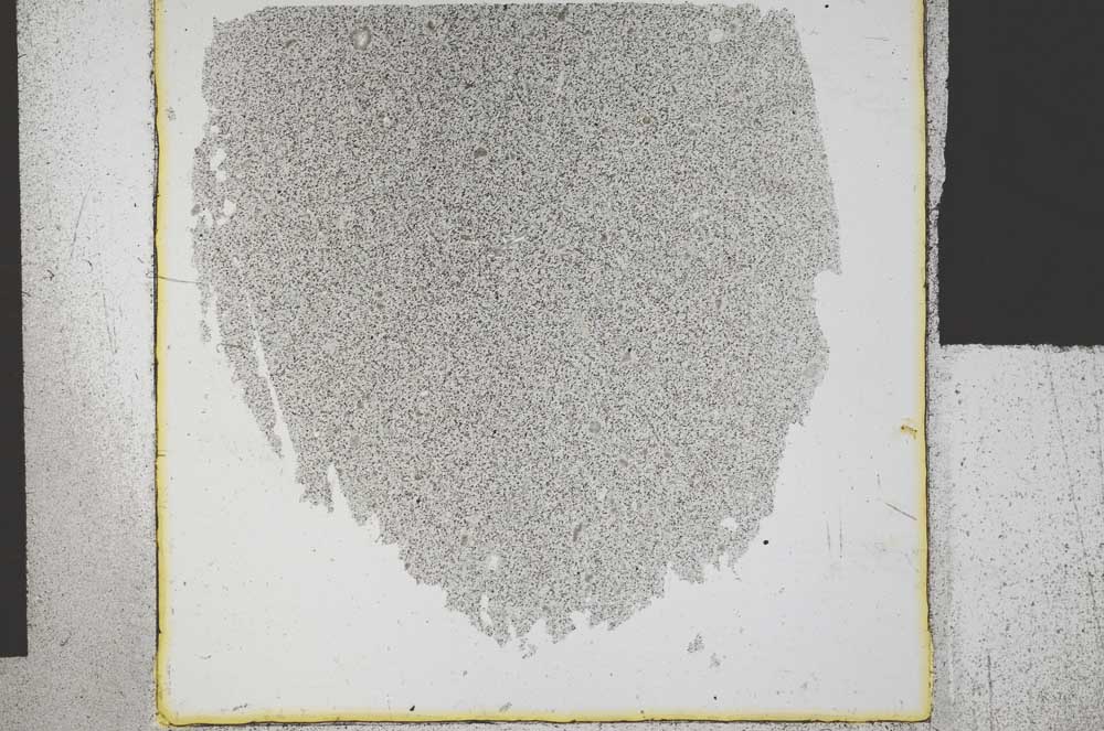Plane Polarized, S30121