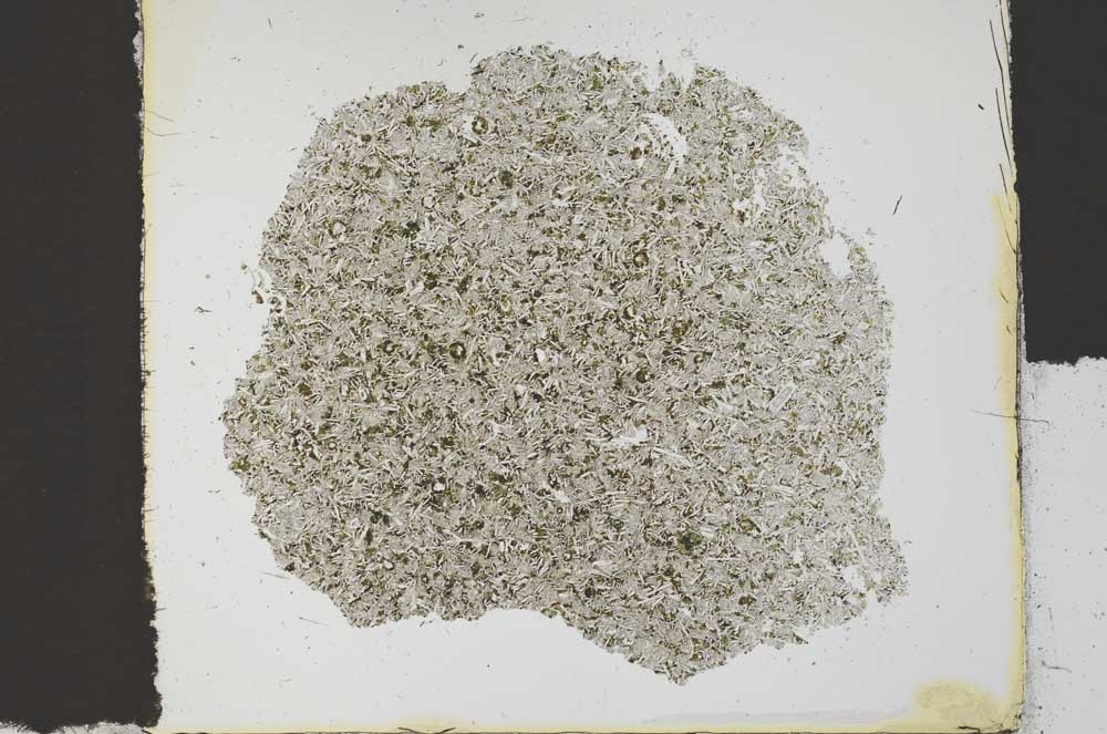 Plane Polarized, S30135