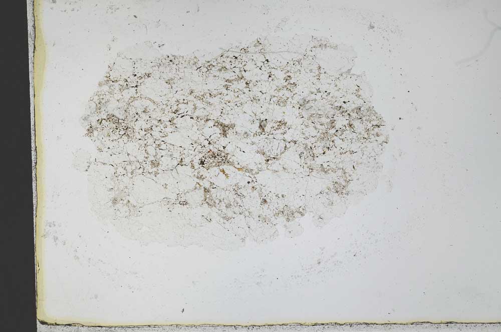 Plane Polarized, S30158