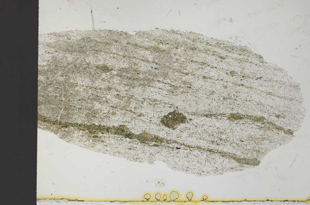 Plane Polarized, S30212