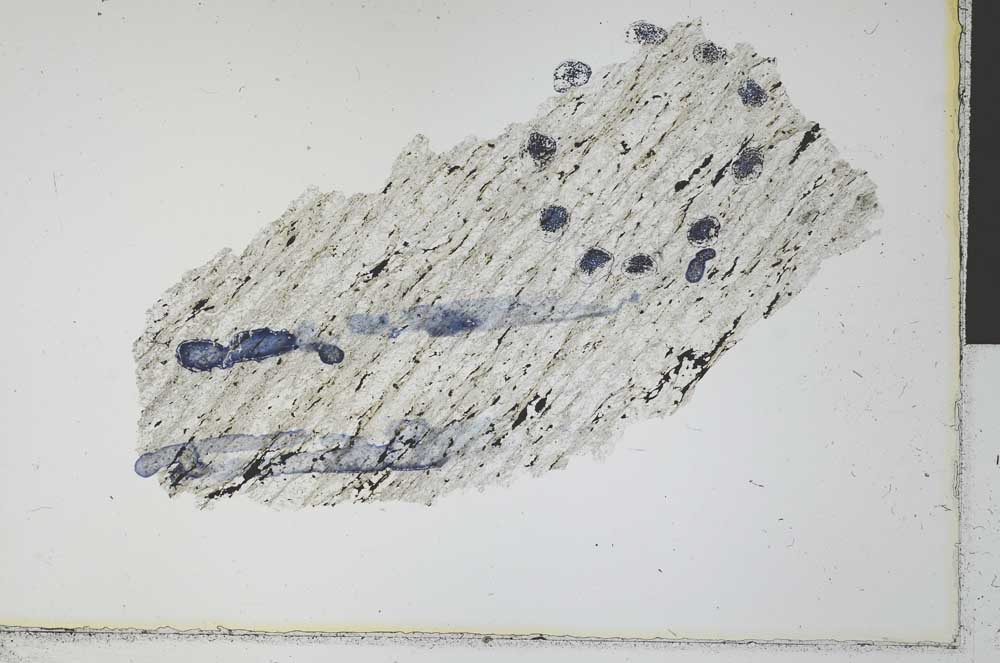 Plane Polarized, S30218