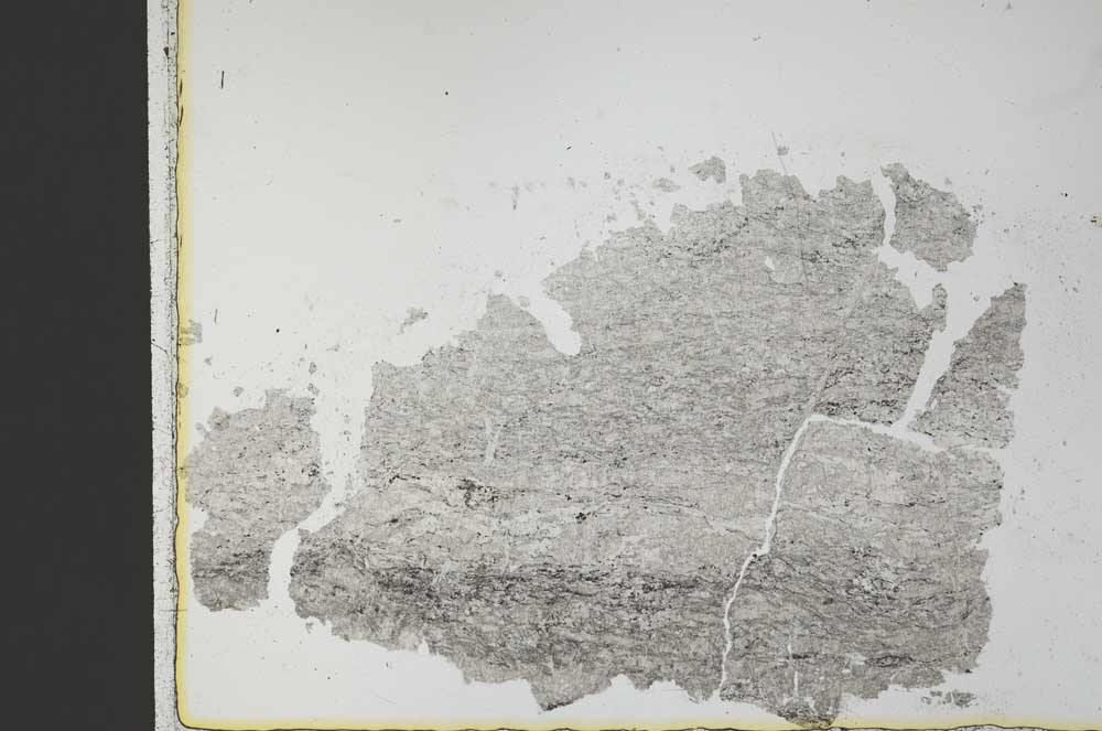 Plane Polarized, S30238