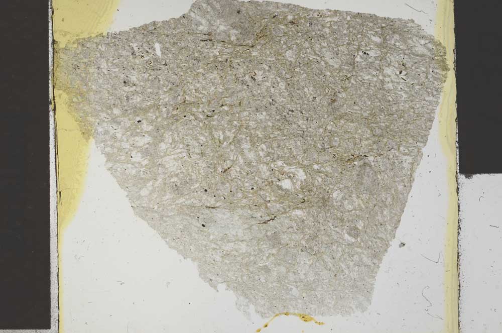 Plane Polarized, S30254