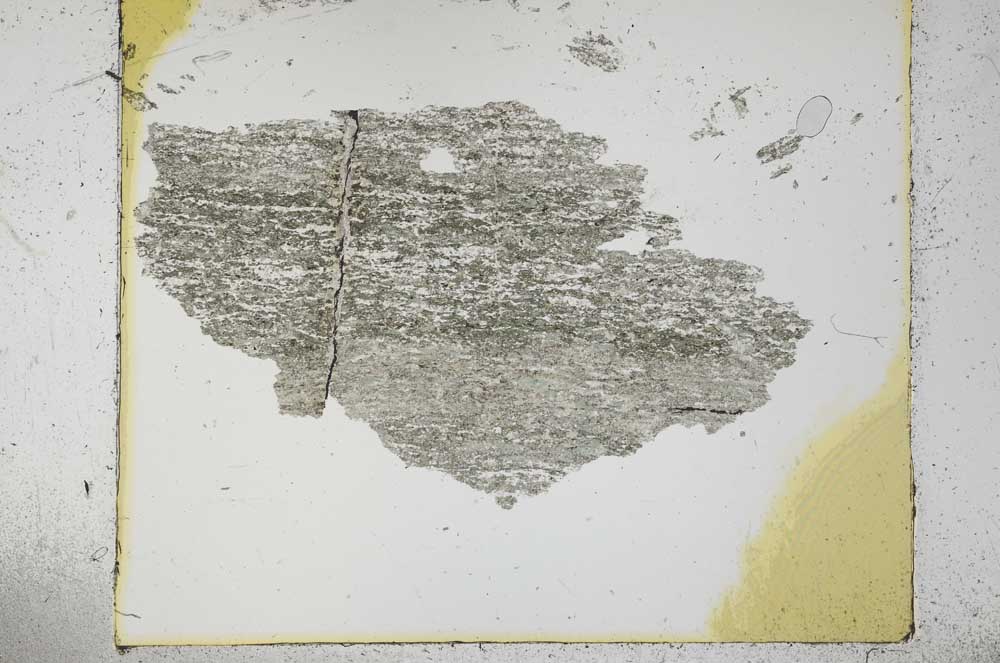 Plane Polarized, S30257